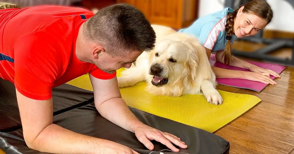 When It Comes to Workouts, Golden Retrievers Ftw!