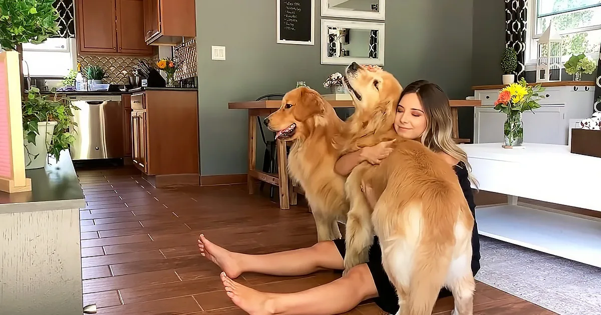 More Cuddles Needed for Jealous Dog