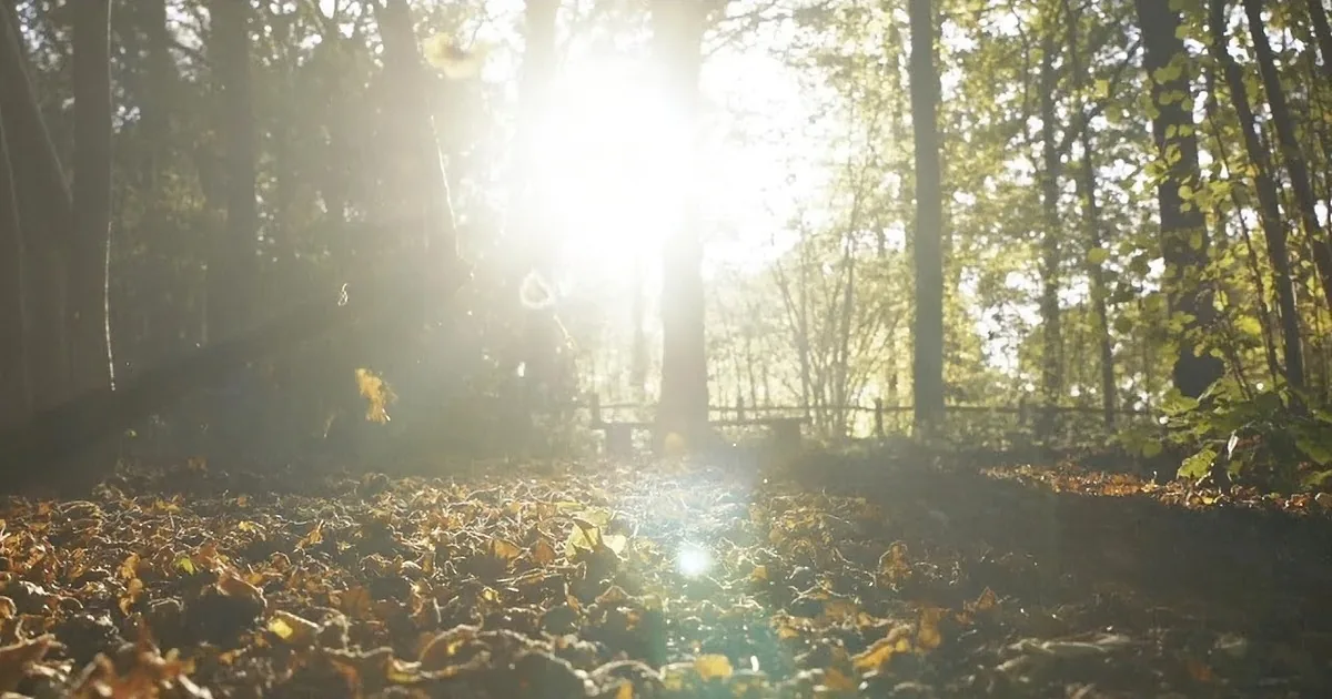 Gorgeous ''Autumn Leaves'' by Eva Cassidy and the London Symphony Orchestra