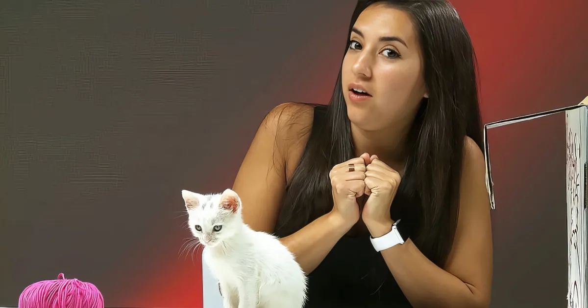 Cat haters meet cats for the first time