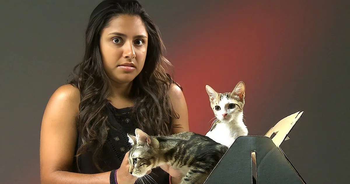 Comical Responses From 'Cat Haters' When They Hold a Kitten for the First Time.