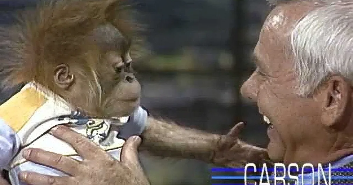 Johnny Carson''s Awkward Reaction With Baby Gorilla Has Audience in Hysterics