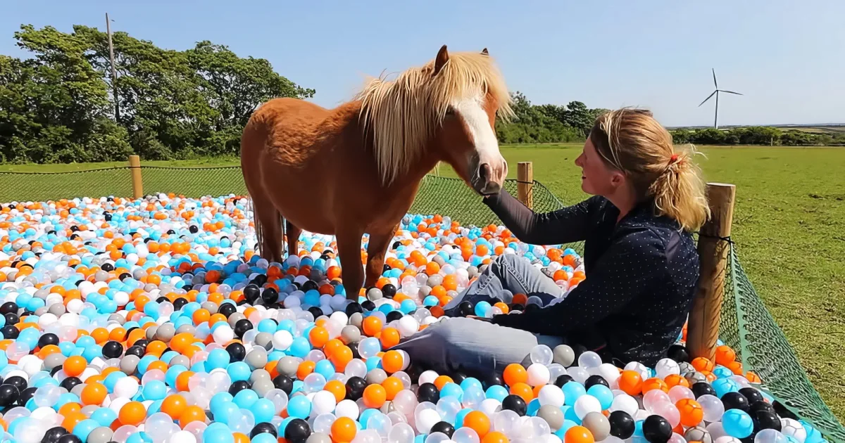 A woman pets a horse in a ball pit surrounded by colorful balls under a clear sky.