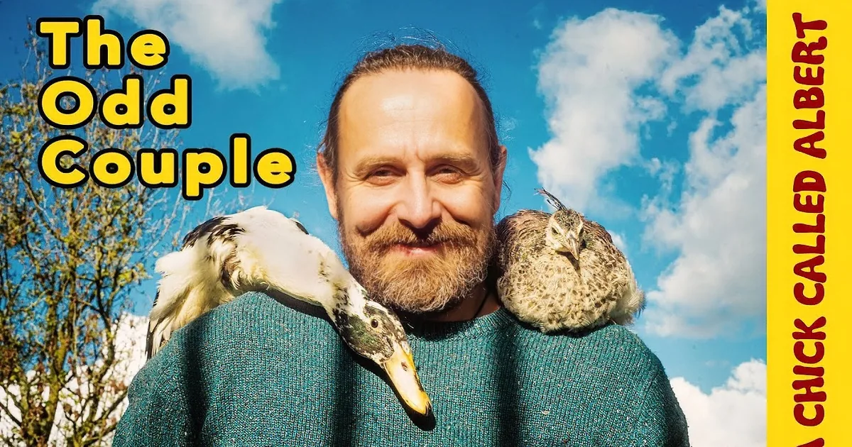 Man Incubates a Duckling Egg Using His Own Body