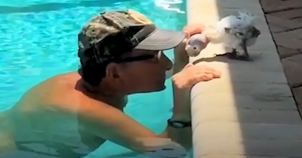 Man and his best friend bald Cockatoo