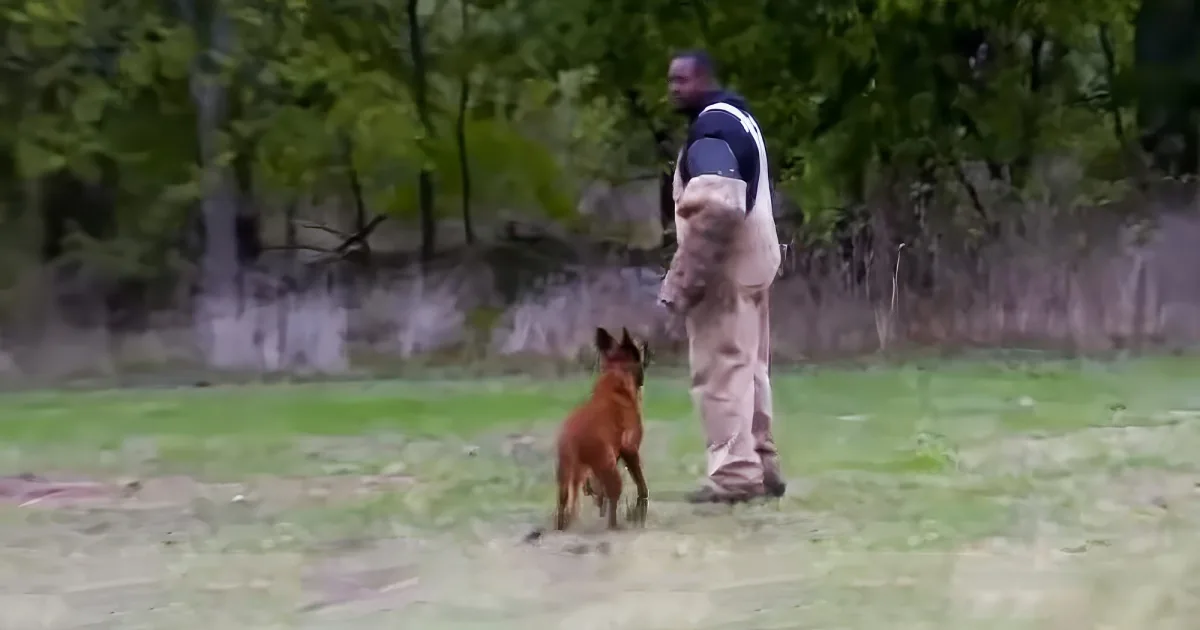 America’s K9 Training