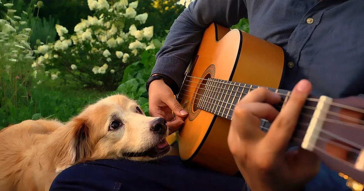Bidding Adieu to Man''s Best Friend With a Beautiful Tune.