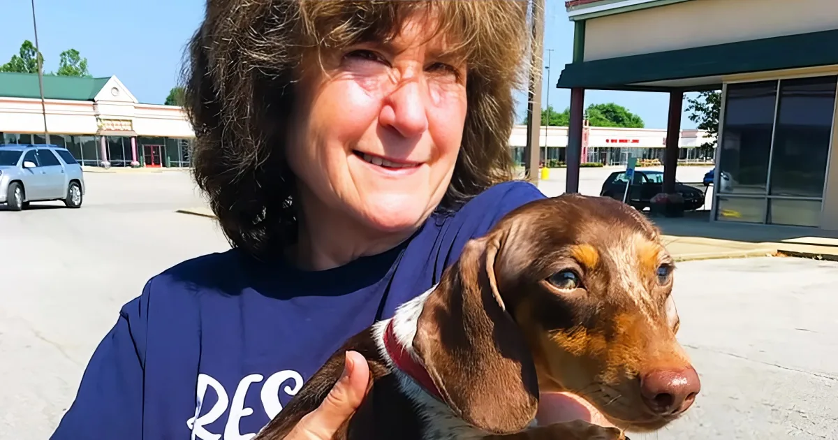 Rescued momma dog