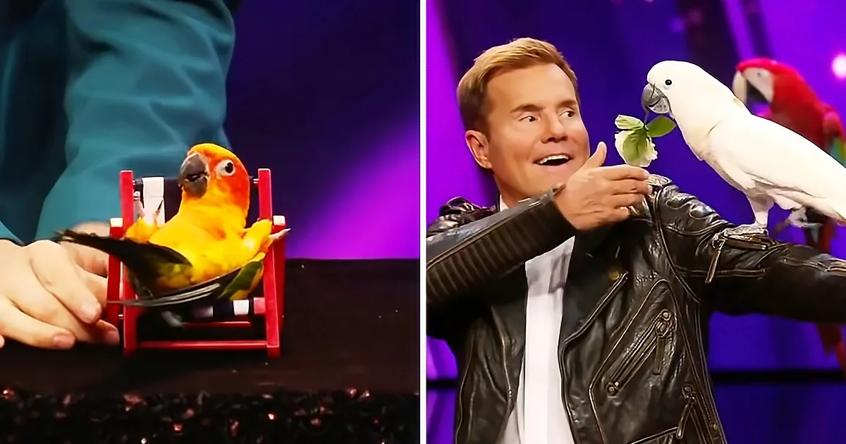 A person in a leather jacket holds a white parrot while another parrot sits on a chair, both interacting with leaves.