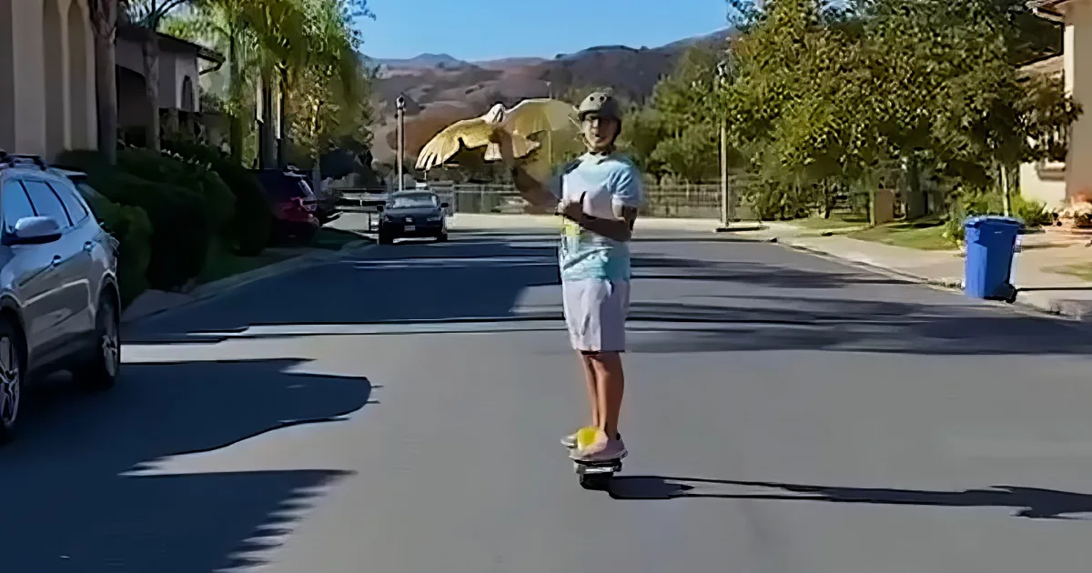 Cockatoo with his human dad