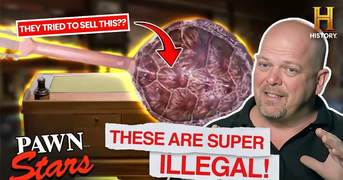 The 'Pawn Stars' Get More Than They Bargained for With 5 Rare and Illegal Items