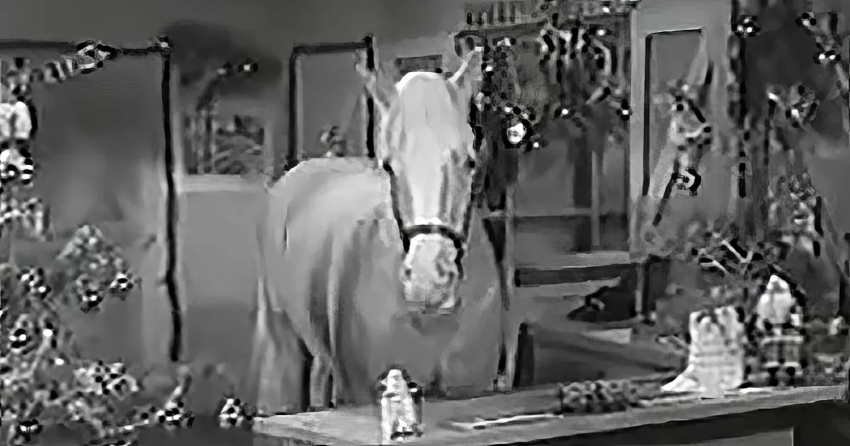 A horse stands in a room decorated with Christmas ornaments and presents.