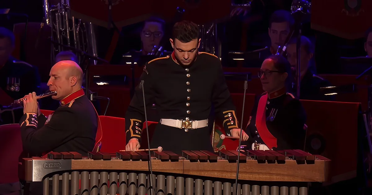 Percussionist and plumber