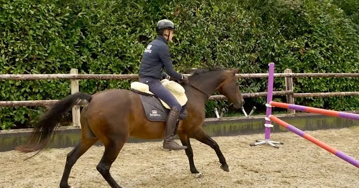 Man and Horse Jump Without Bridle in Nail-Biting Video