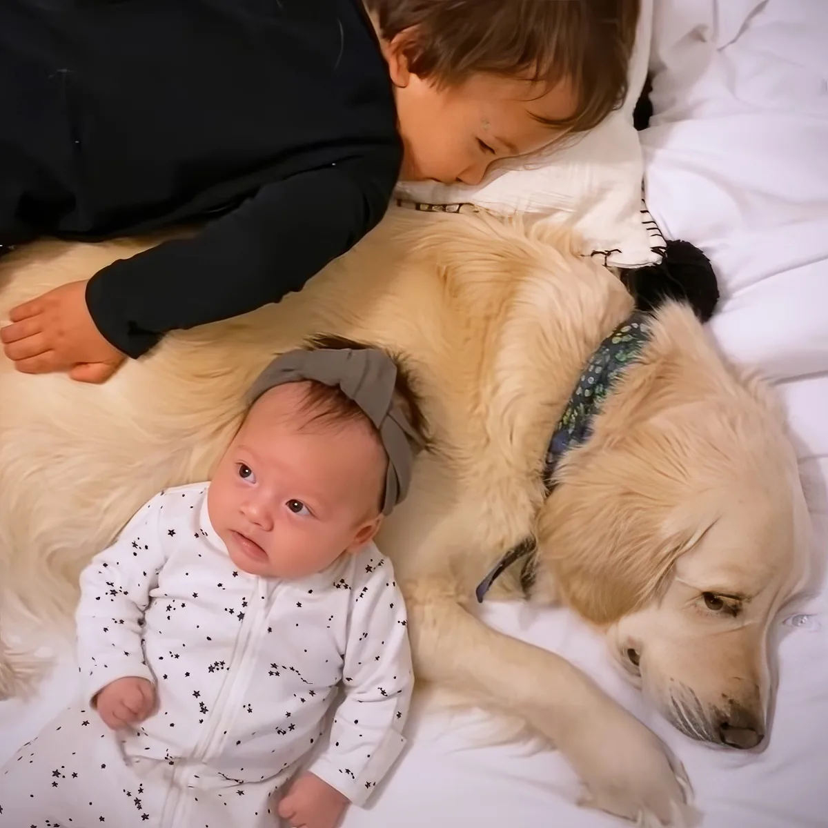 Golden Retriever and baby