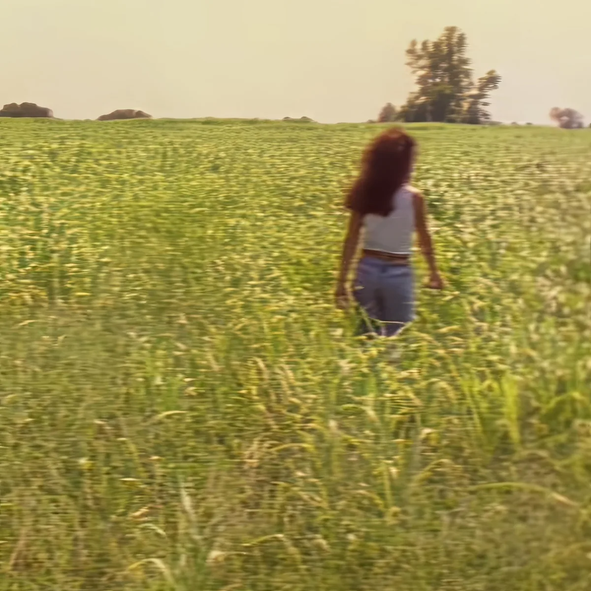 A person with long hair walks through a tall grassy field under a clear sky.