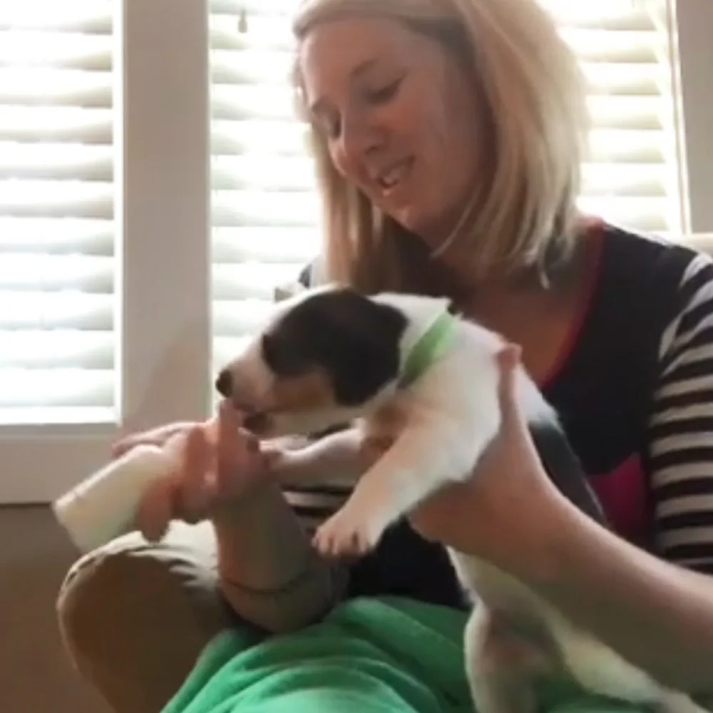A woman is holding a small black and white puppy while feeding it with a bottle.