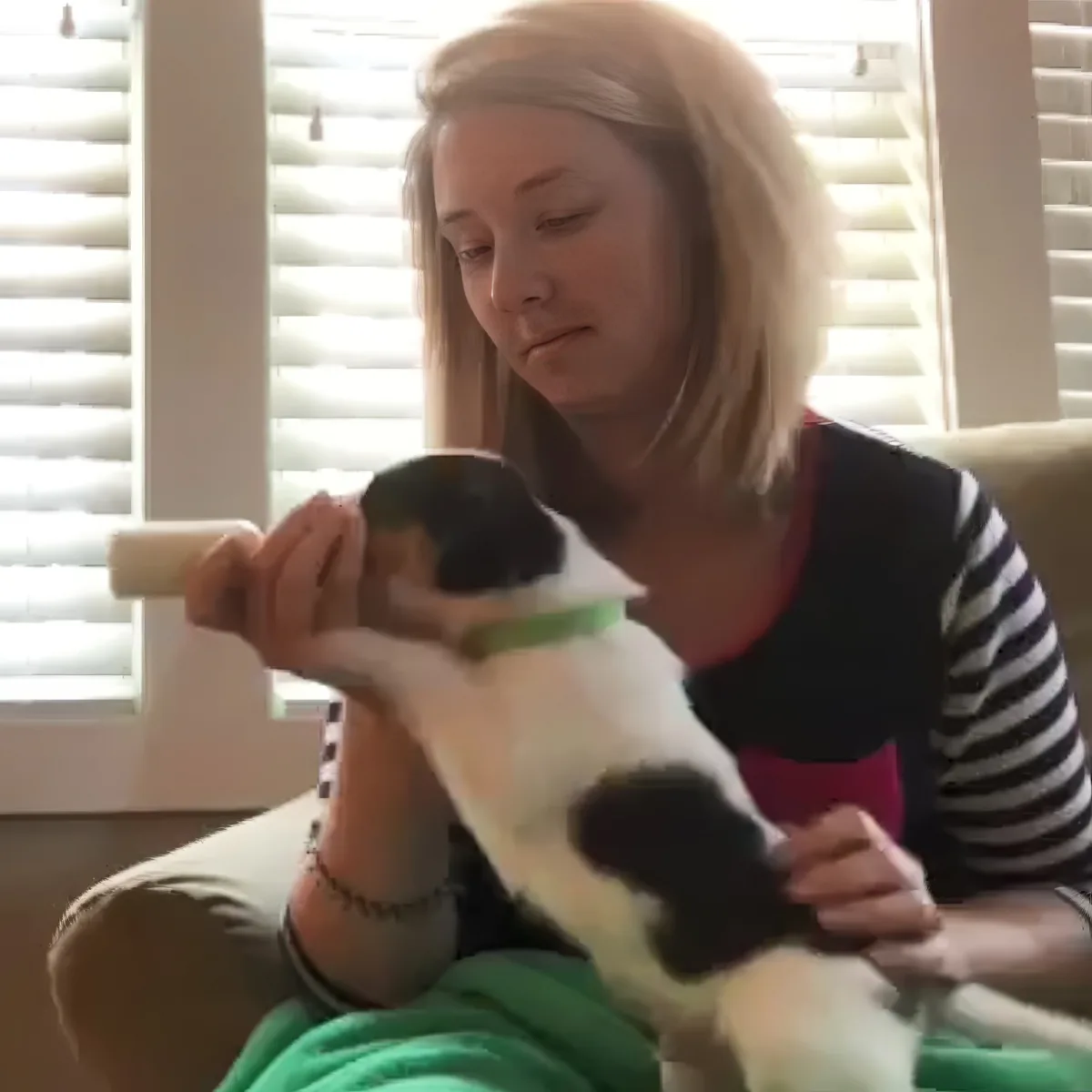 A woman holds a small black and white puppy with a green collar, sitting indoors near a window.