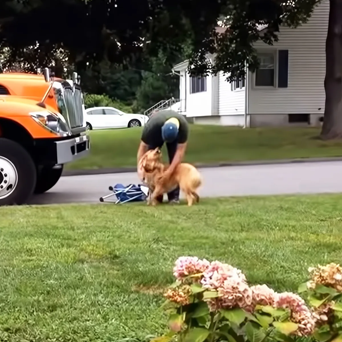 Garbageman and Golden Retriever