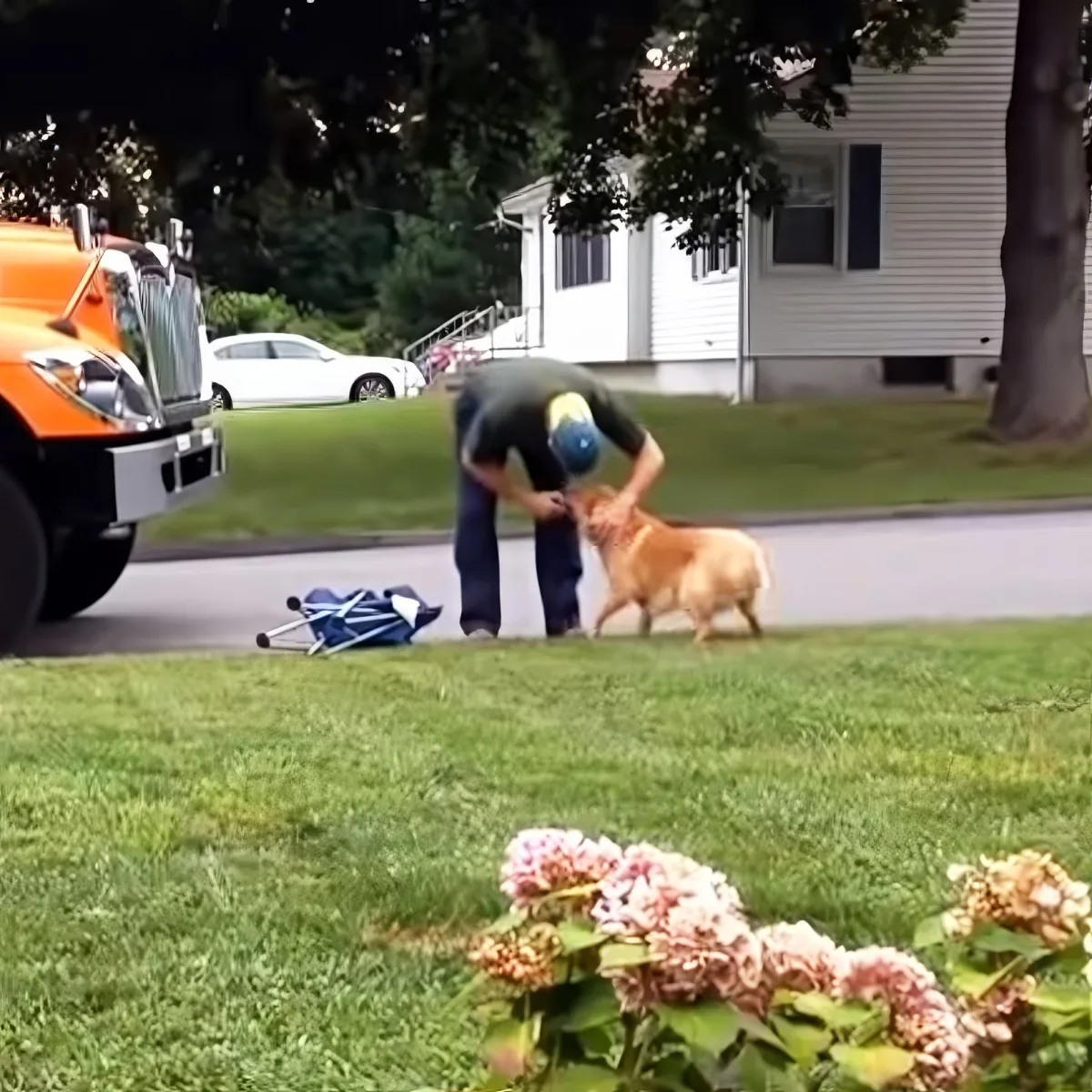 Garbageman and Golden Retriever