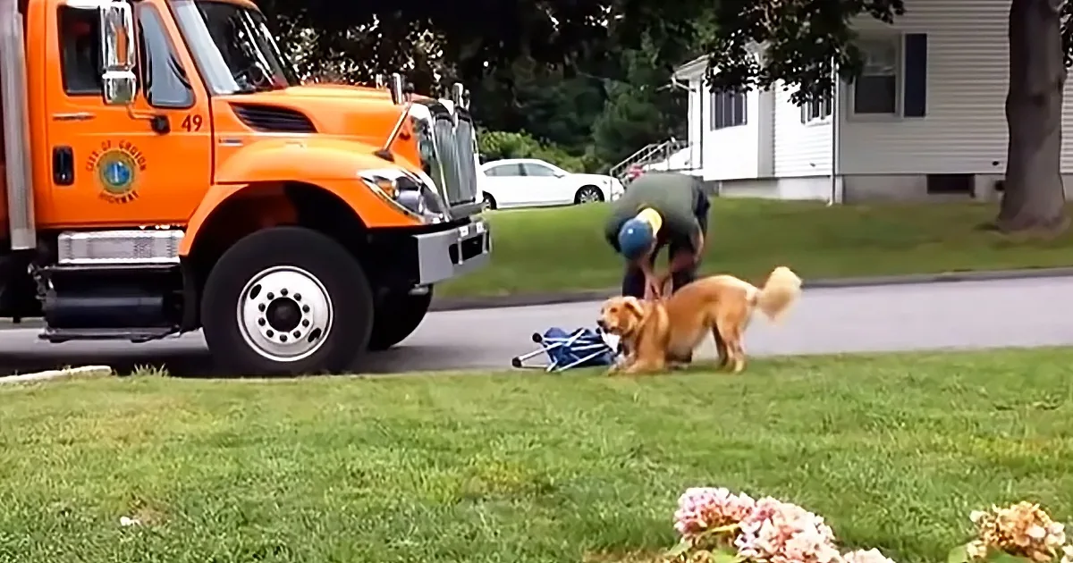 Footage of Garbageman's Treatment of Golden Retriever Blows up Online