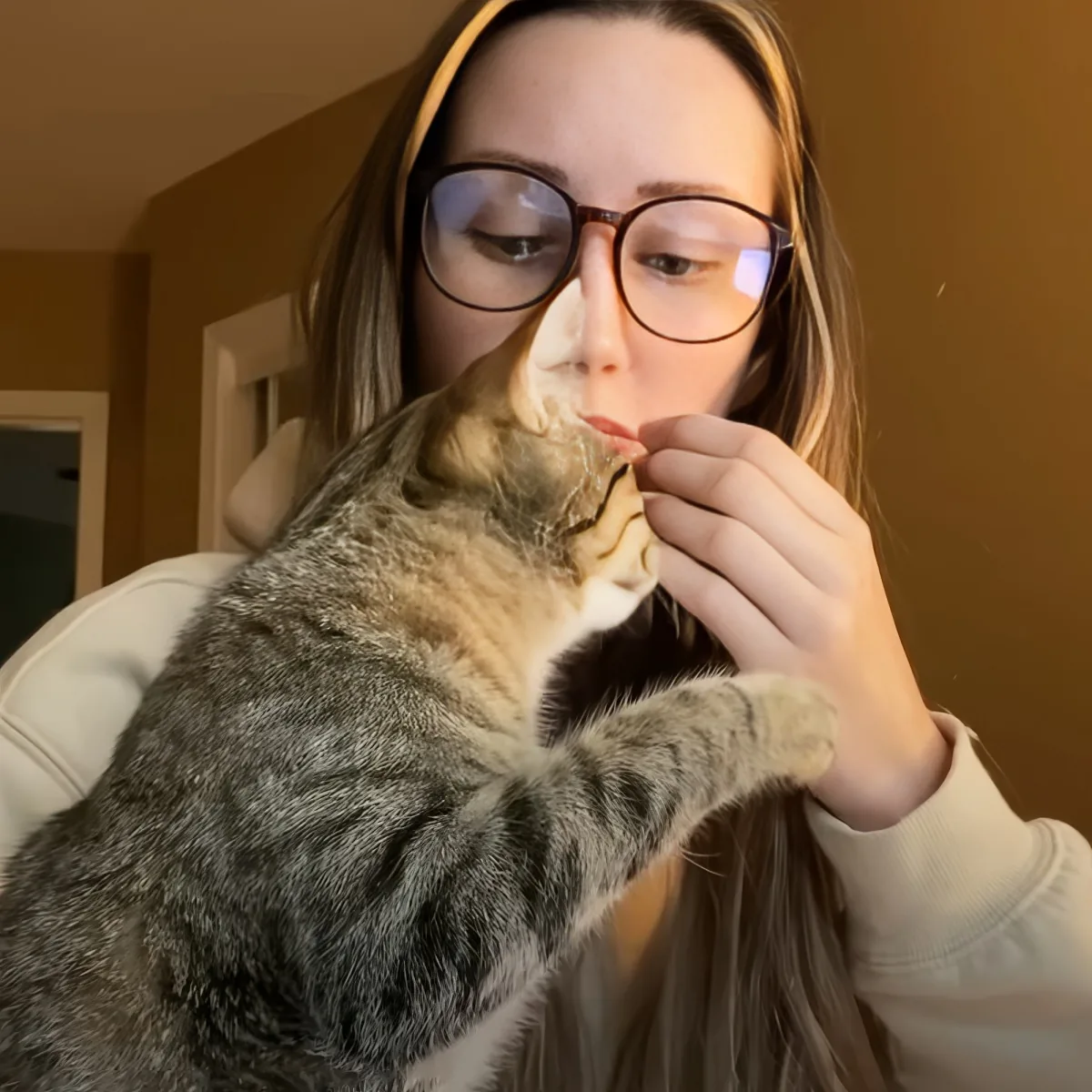 A woman wearing glasses holds a tabby cat close, gently touching its chin.