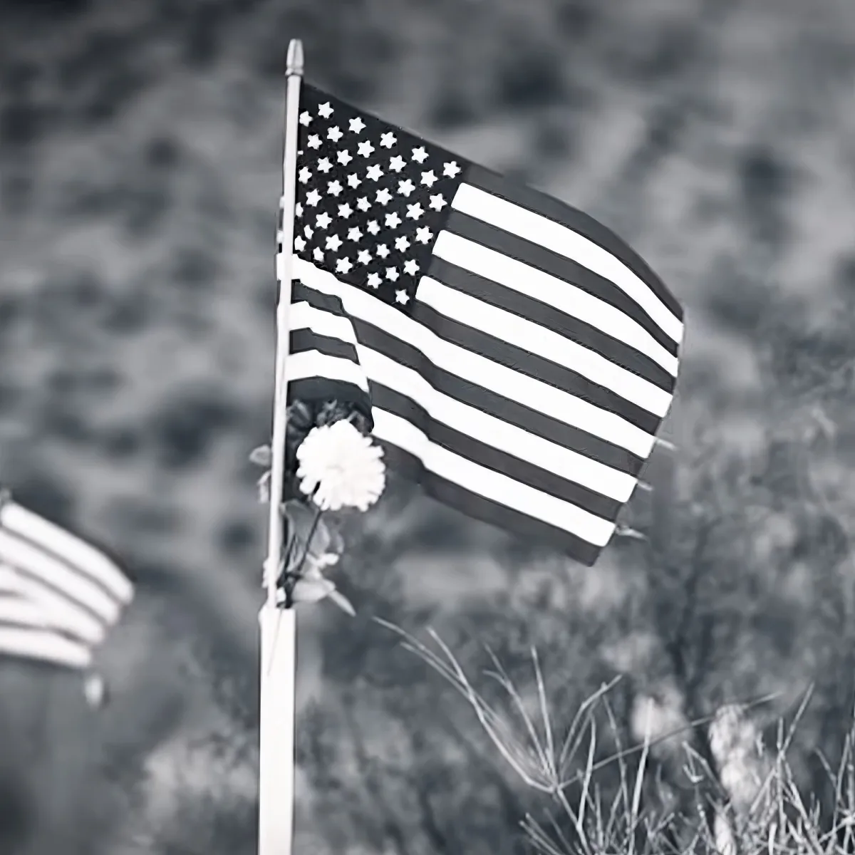 An American flag with a white flower attached to its pole, set against a blurred natural background.