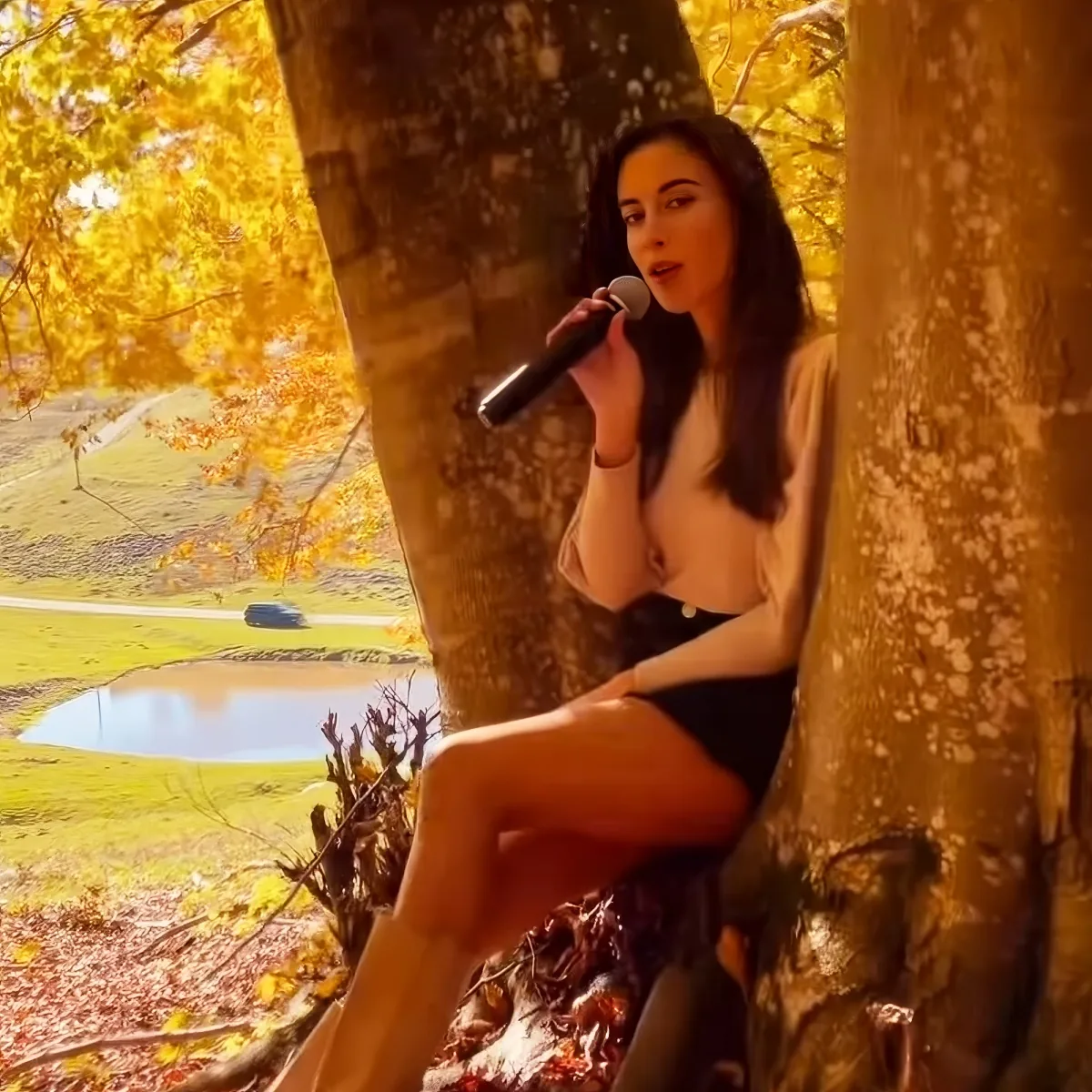 A woman sits between trees, holding a microphone, with autumn foliage and a serene landscape in the background.