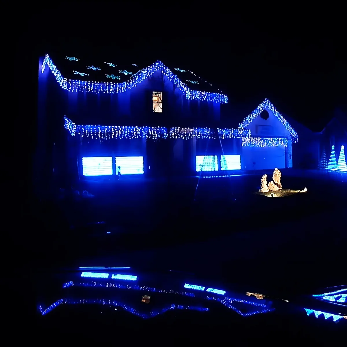 Christmas light show