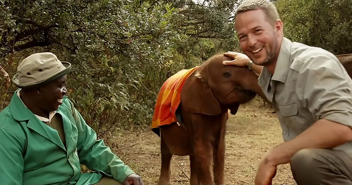 A man in a green jacket smiles at a baby elephant wearing a colorful blanket, while another man in a beige shirt pets the...