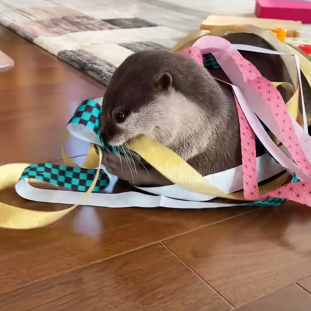 Two cute otters opening Christmas gifts