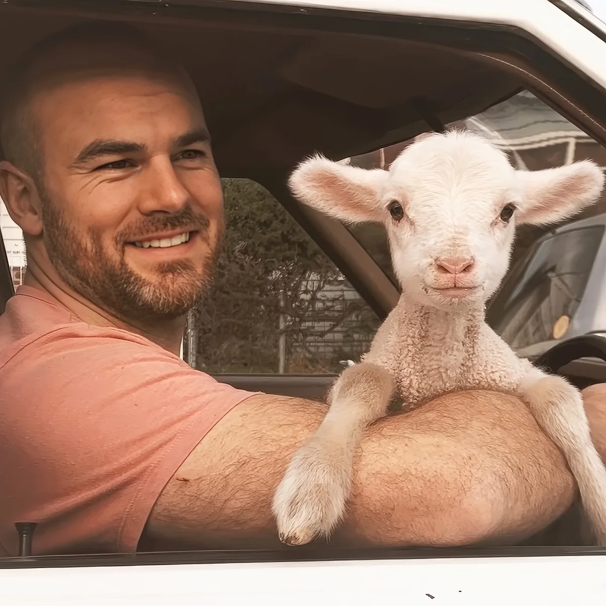 Orphaned lamb behaves like puppy around its favorite toddler