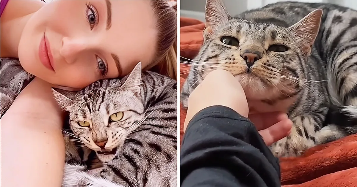 Cat Has Conversations With Lonely Mum to Comfort Her