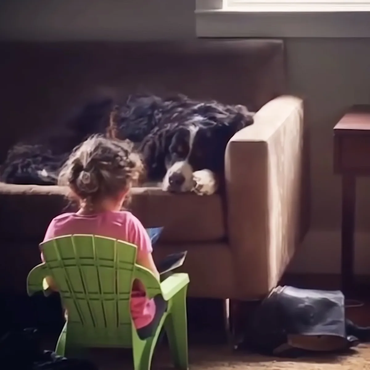 Dog and toddler