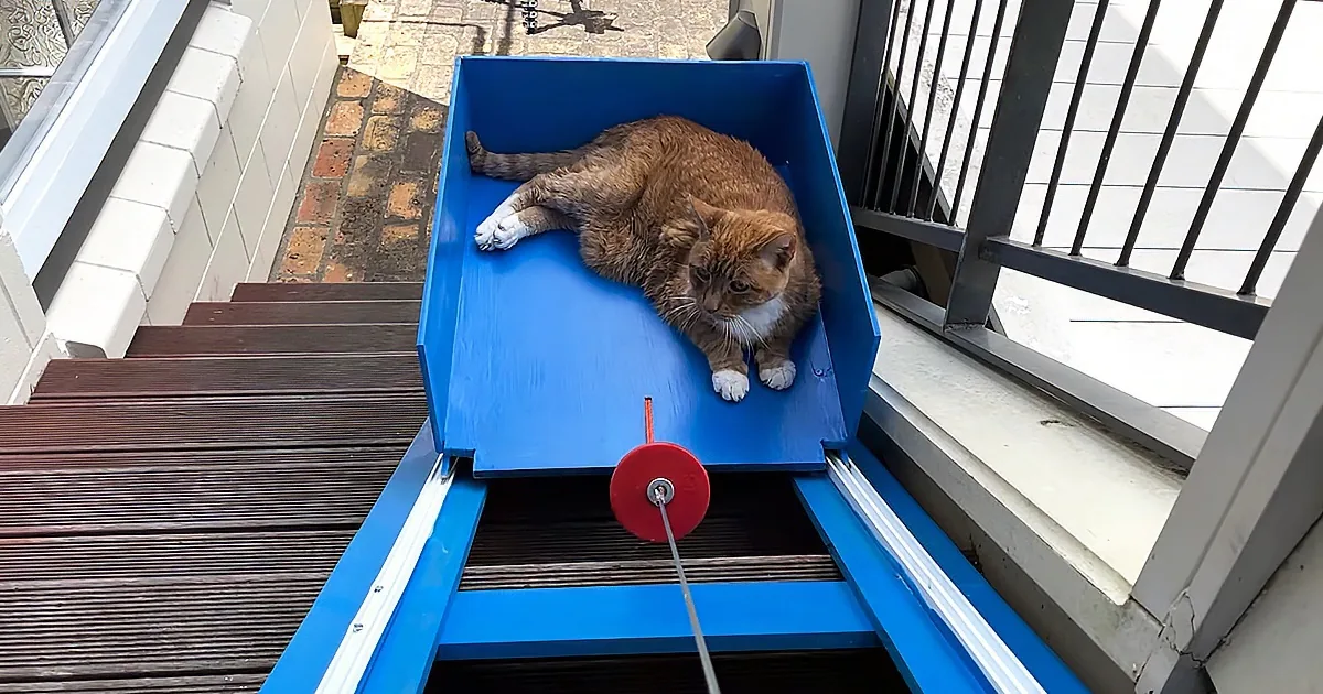 Senior Cat Gets a Custom Made Elevator to Aid His Mobility