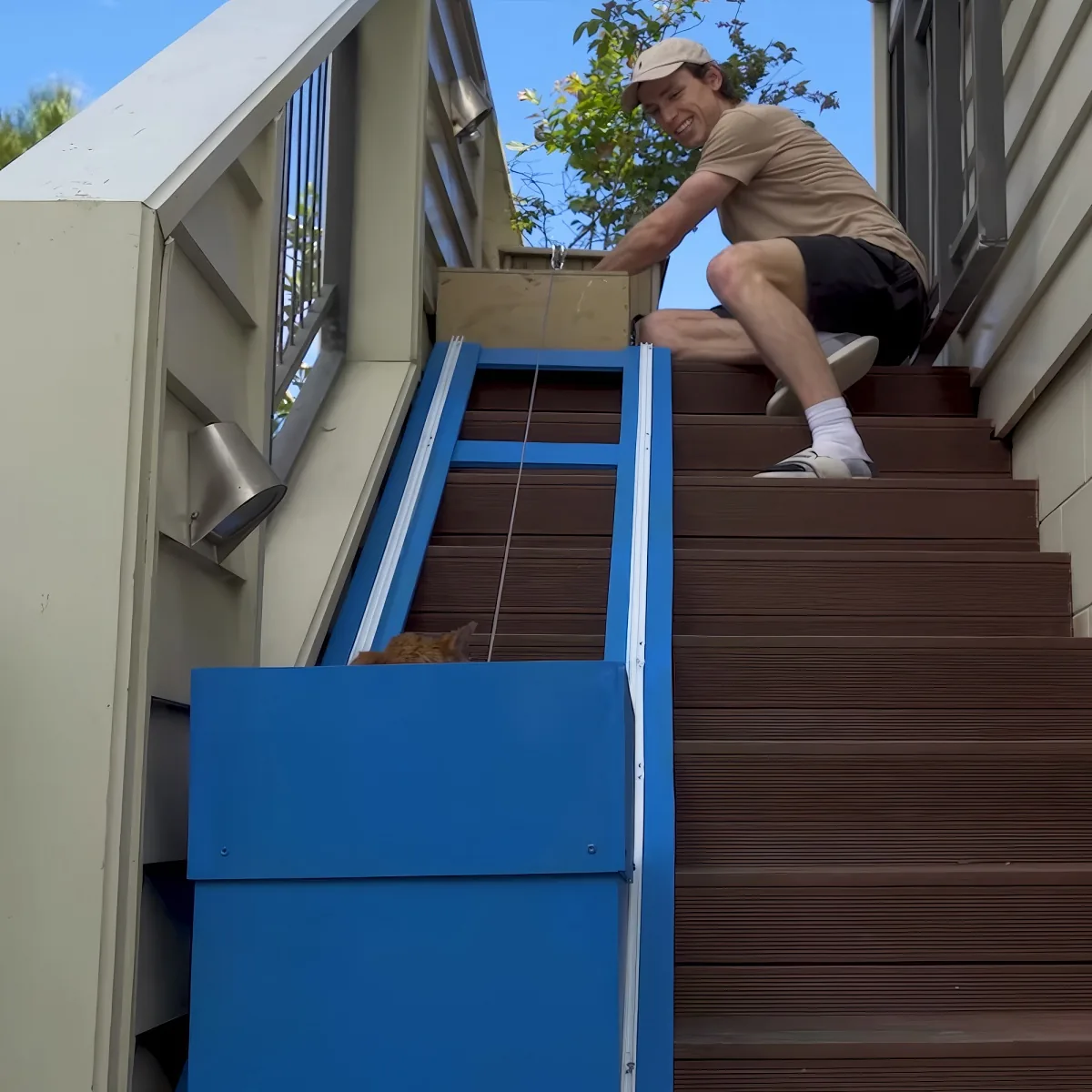 Senior cat's elevator