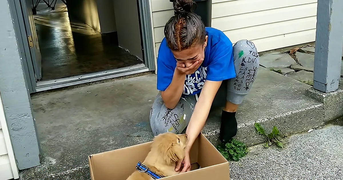 Puppy Surprise for Birthday Brings 16-Year-Old Girl to Tears