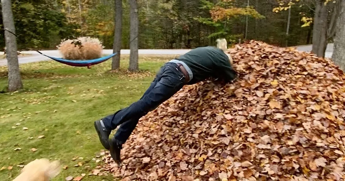80-Year-Old Man's Birthday Celebration Leaves Son in Stitches