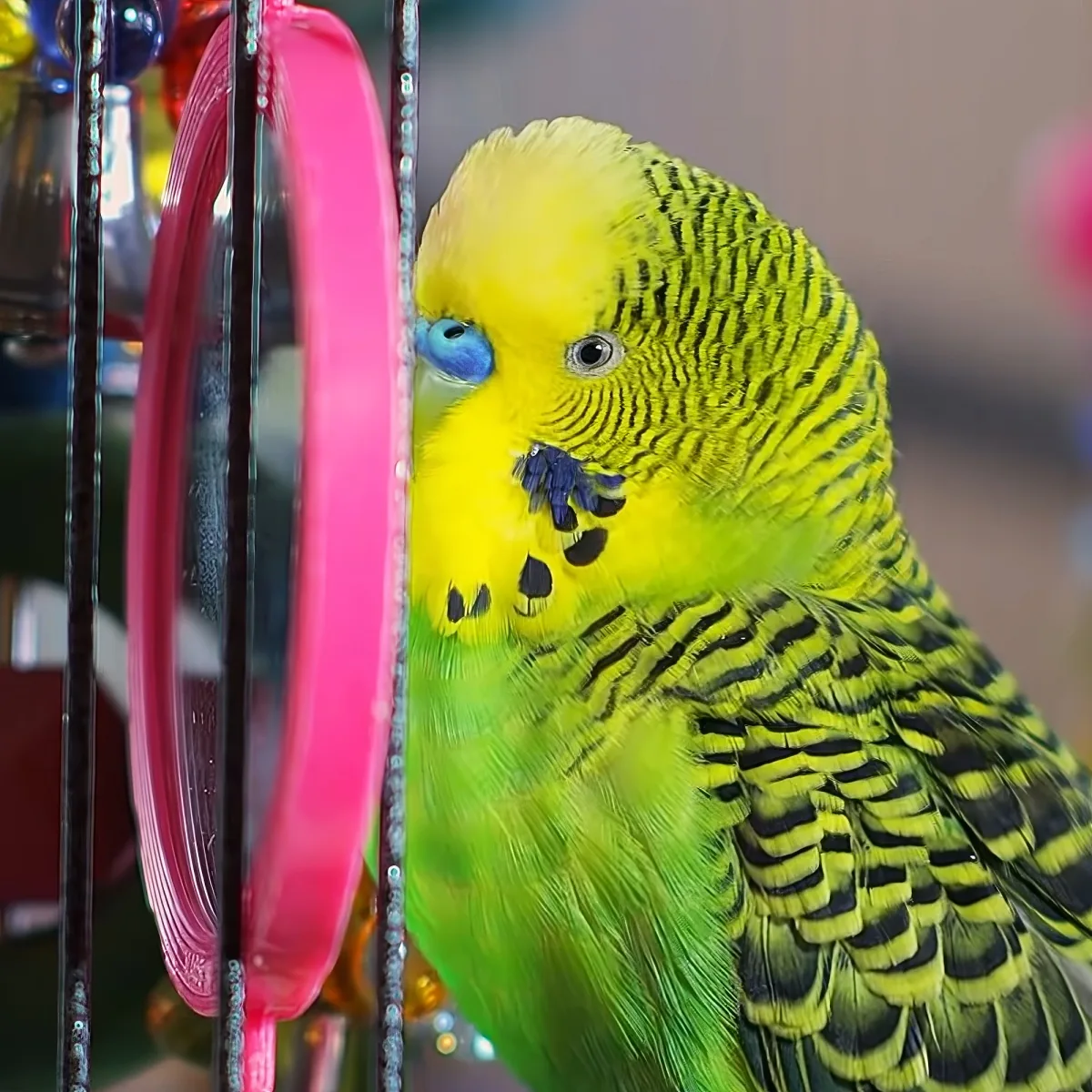 A vibrant green and yellow parakeet with blue eyes perches near a pink toy, surrounded by blurred background elements.