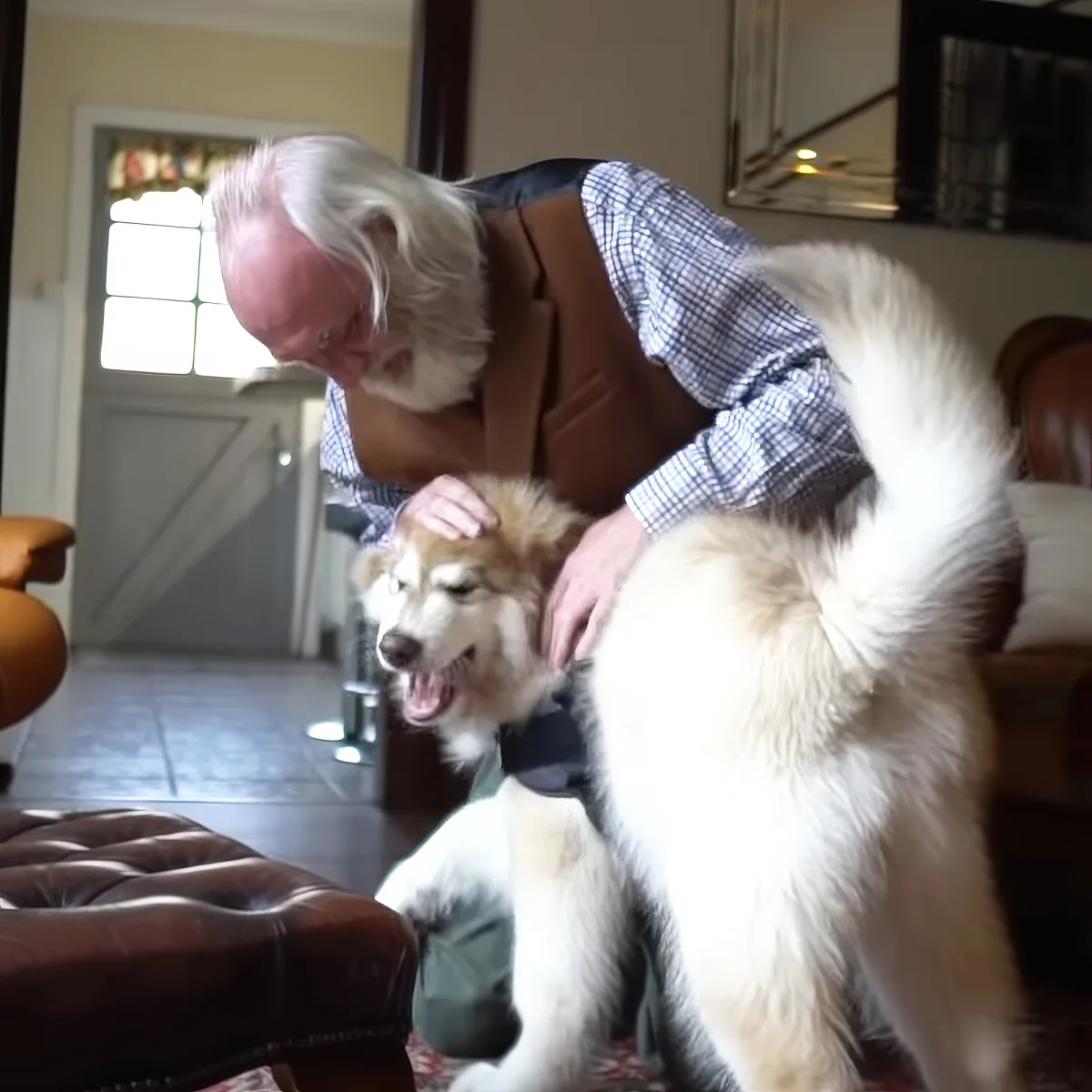 Senior man with dog