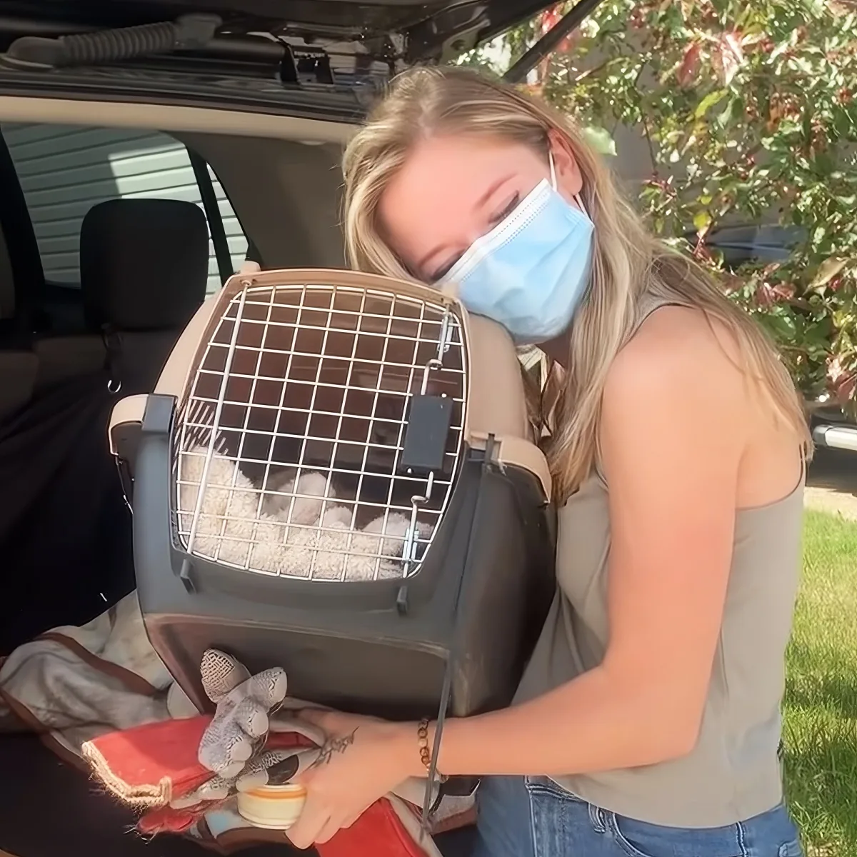 Cat with foster mom