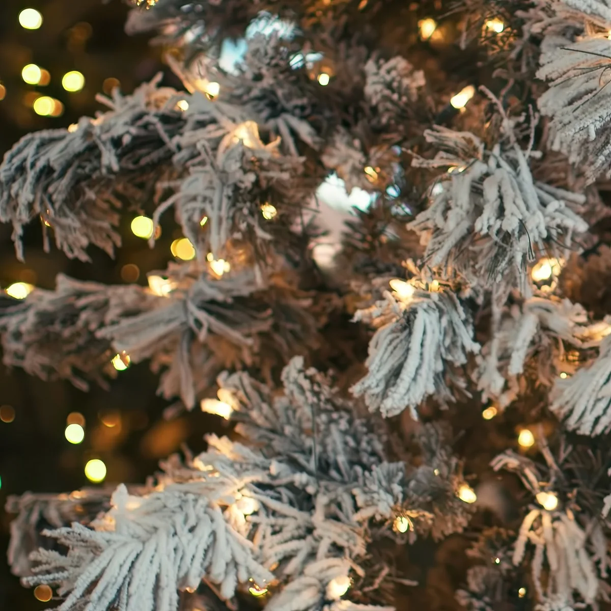 I see a close-up of a white Christmas tree with frosted branches and twinkling lights.