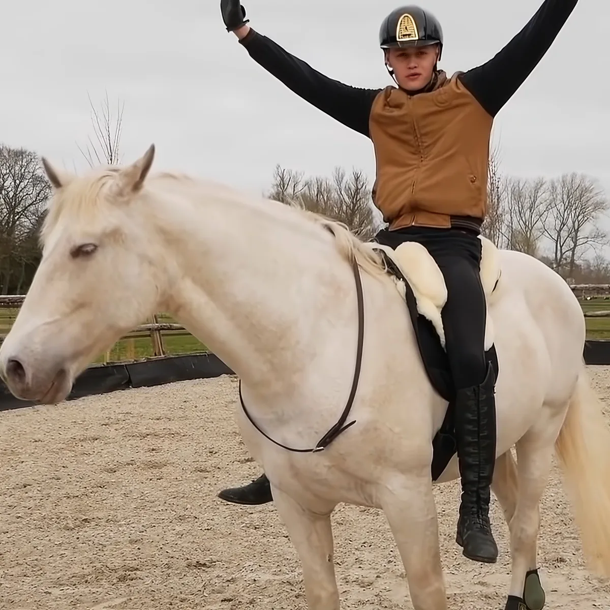 Jockey and horse