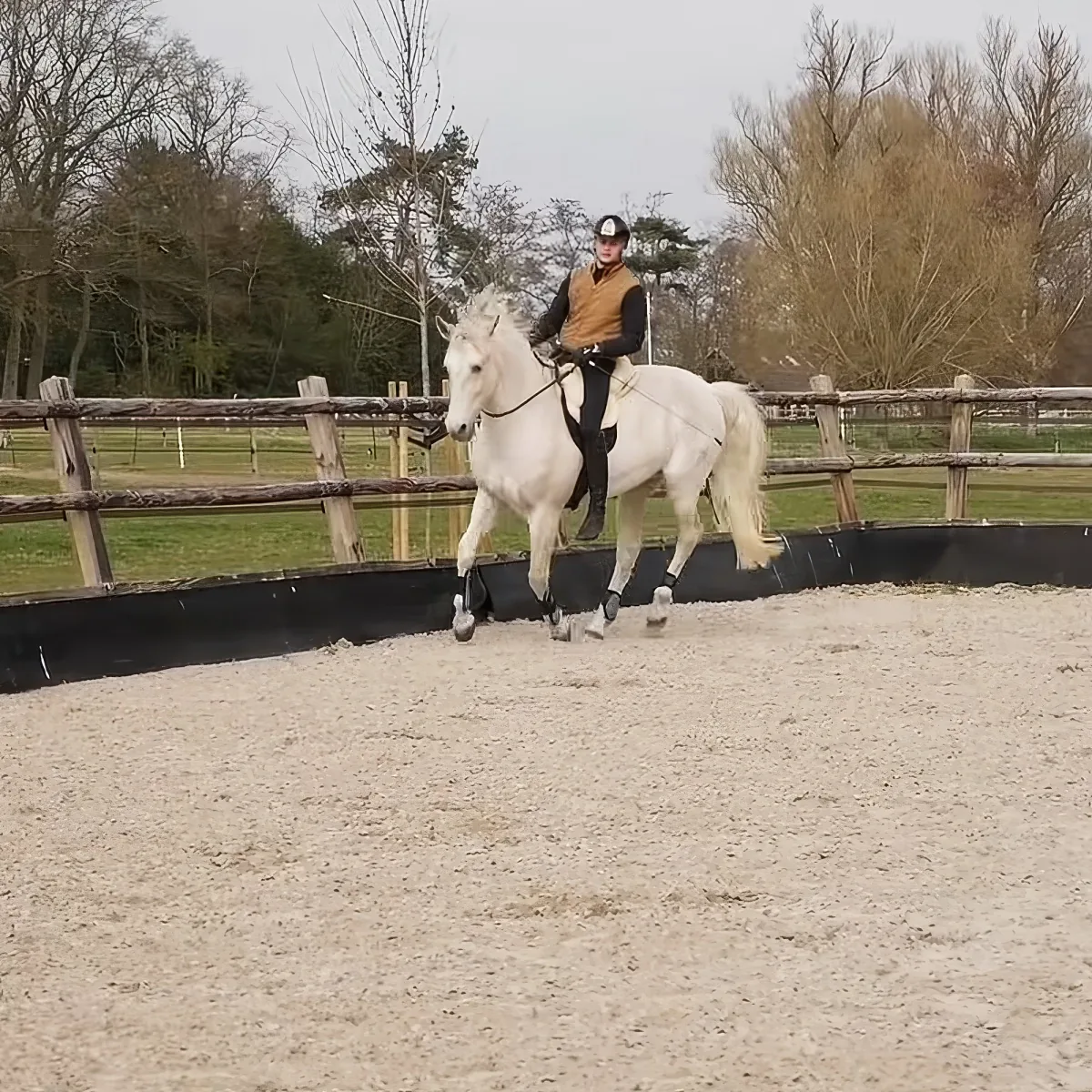 Jockey and horse