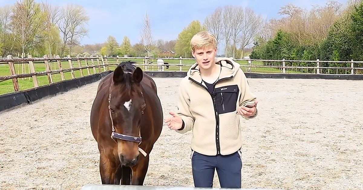 Clever Horses Respond to Fan Assumptions About Their Trainer