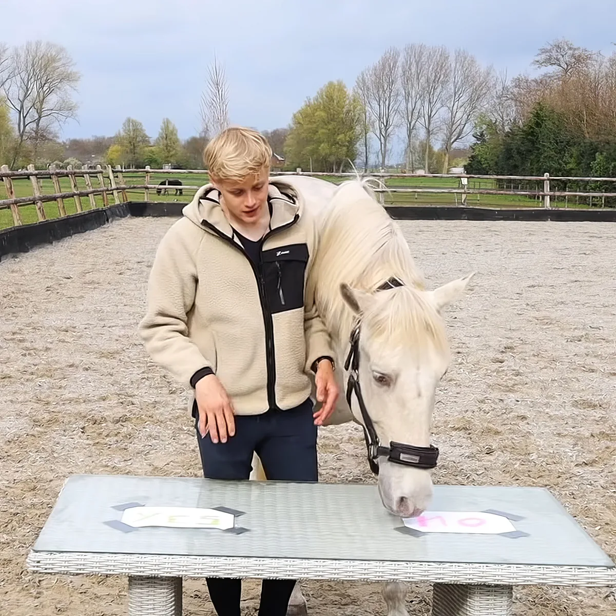 Trainer and horse
