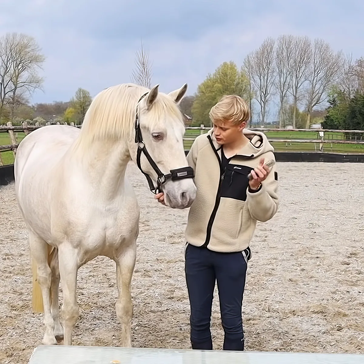 Trainer and horse