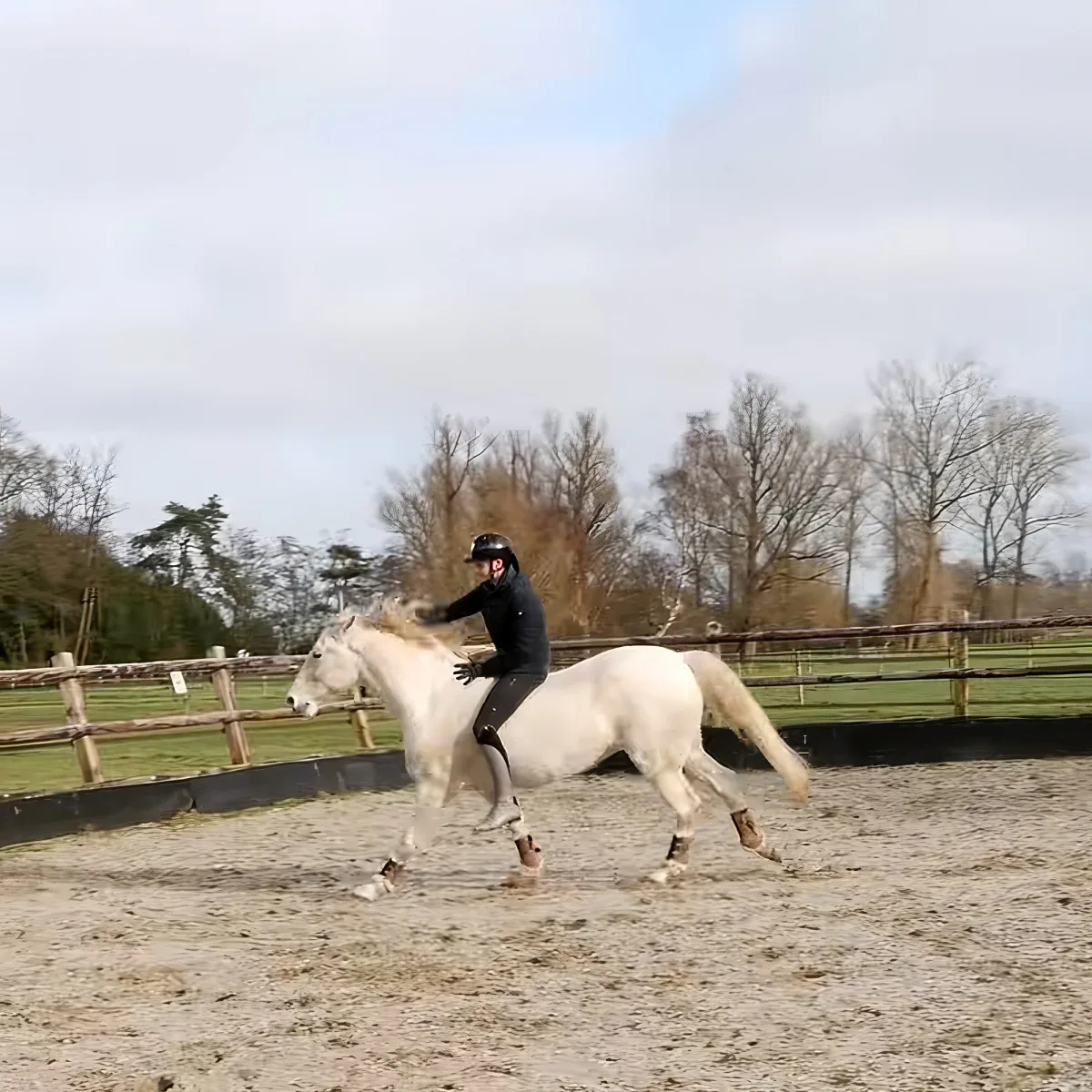 Man riding golden horse