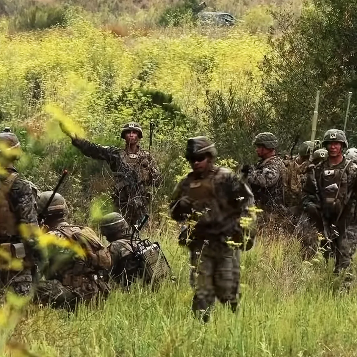 Soldiers in camouflage gear stand in a grassy field, one pointing, others observing.