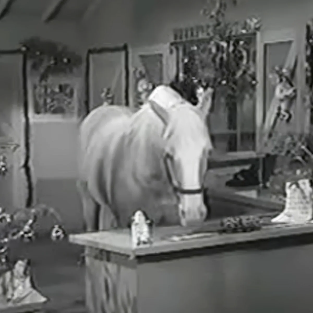 A horse stands in a room, looking down at a table with various items, including a small figurine.